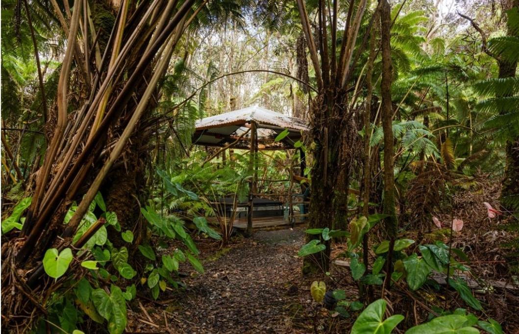 Halema'Uma'U- Hale Kumu La'Au Villa Volcano Luaran gambar